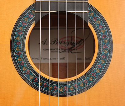 flamenco-5.jpg